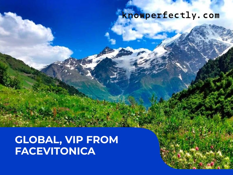 Global, VIP from FaceVitonica