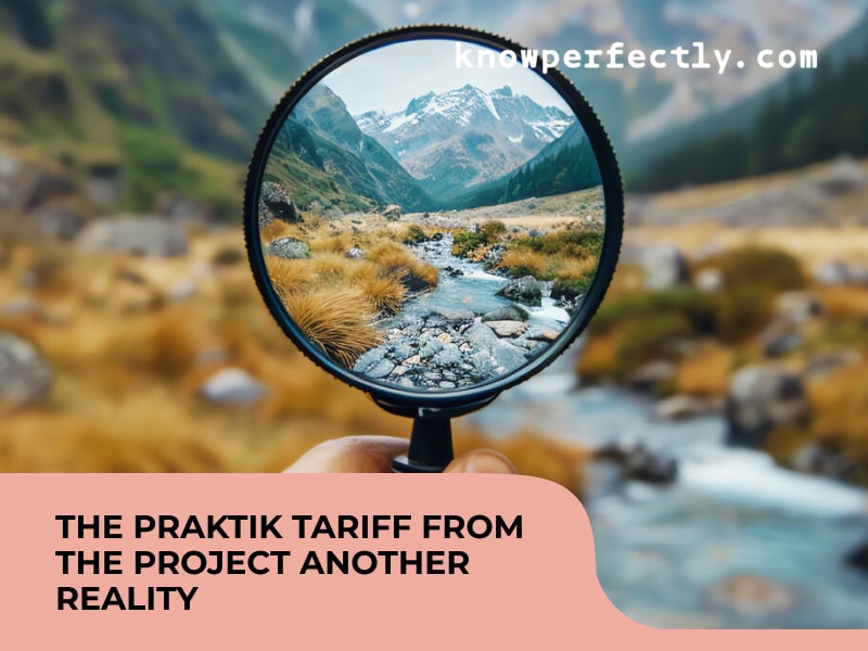 The Praktik tariff from the project Another reality