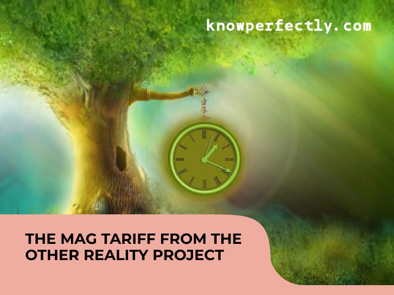 The Mag tariff from the Other Reality project